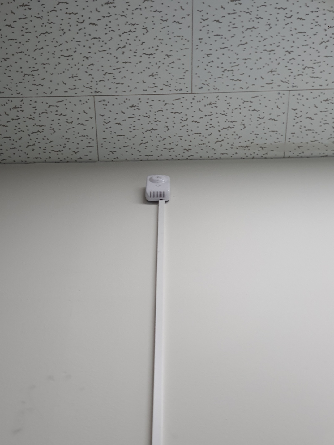 2038599400_316XAhE8_fb66a1f880694040f30c3f7a7f63646cf1085a24.jpg 이미지크게보기