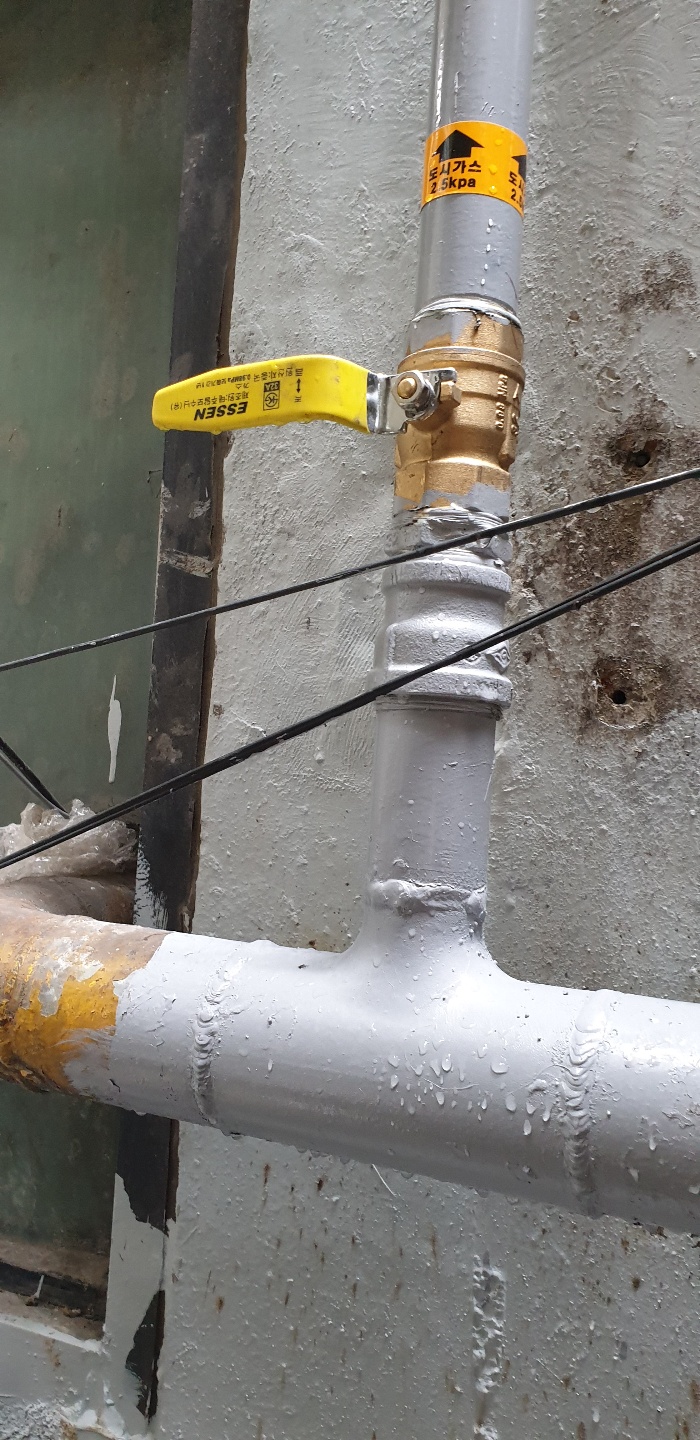 2038599400_5pLStVgx_d780ad94d4067d56ebe67d89ee42ebe1ab3ec00f.jpg 이미지크게보기