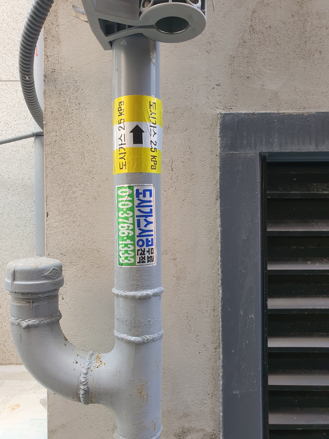 2038599400_szXTcUxm_171c872e5601a1ead8b1f5827e501938c1c18acf.jpg 이미지크게보기