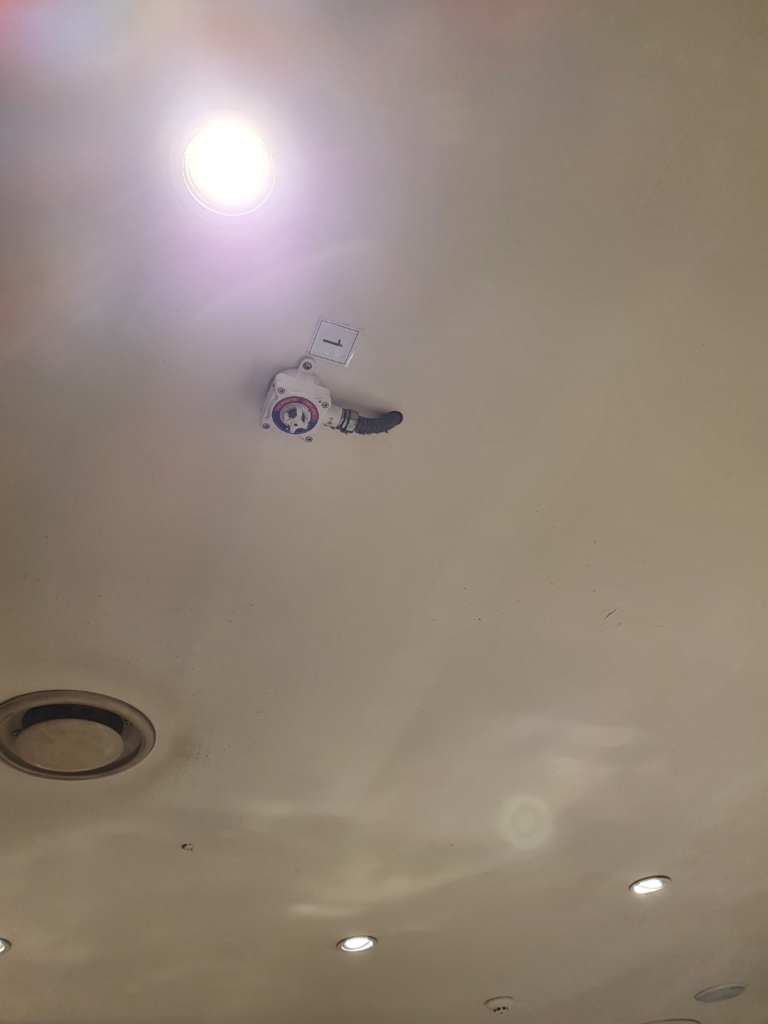 2038599400_vOJBtYqK_7d0e3ed059a9ae46d887cafe6c1fb30770ff157c.jpg 이미지크게보기